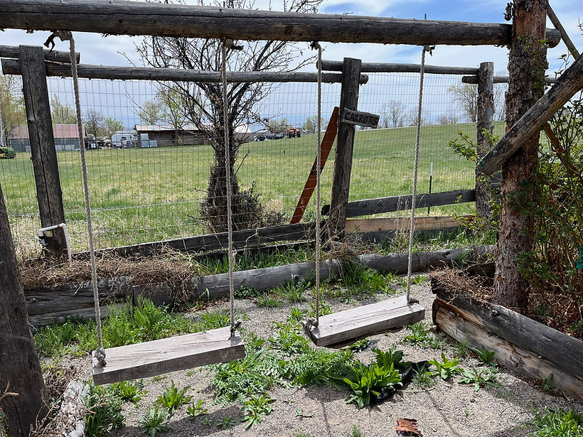 Garden Swings.jpg