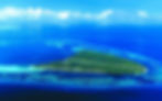 Alphonse Island Seychelles