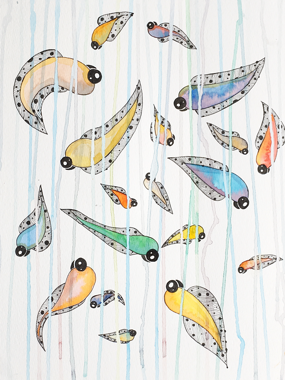 Aquabizarre #11 - The FishBow 🌈