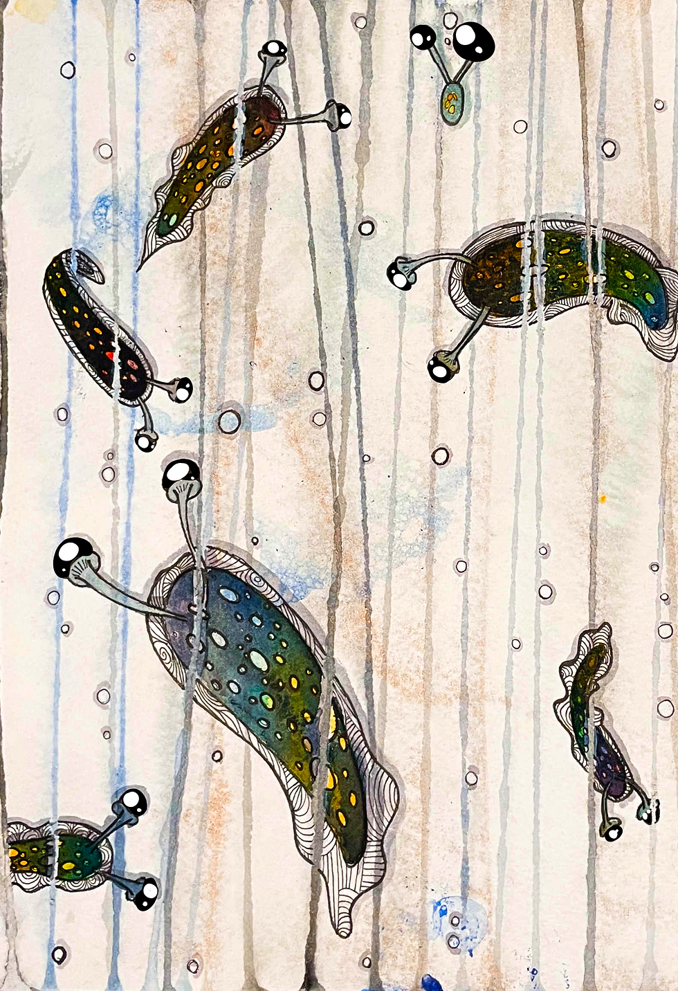 Histoires Naturelles – Il était une Limace (3e Volet du Jour)