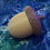 Thumbnail: 3D Printed Acorn w/5 Micro Mini Squirrels