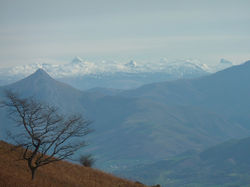 Behenafarroa.Nieve a lo lejos, desde cima de Larla (700 m).jpg