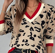 Leopard V Neck Sweater