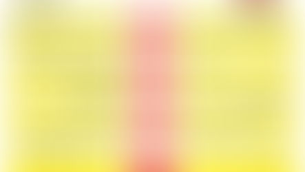 I risultati dal 24 al 27 novembre 2022