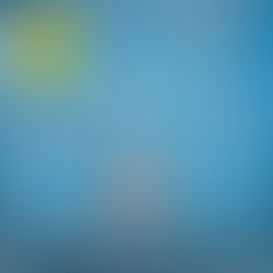 MiniVolley... inizio attività