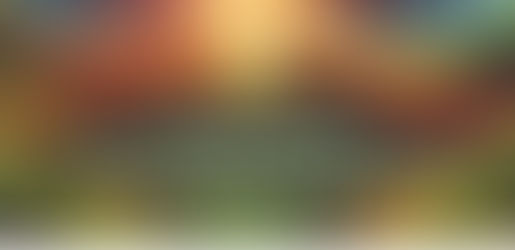 Embracing Mission, Vision, and Values in Leadership