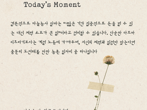 마늘농사 알바는 대표적인 계절 농업