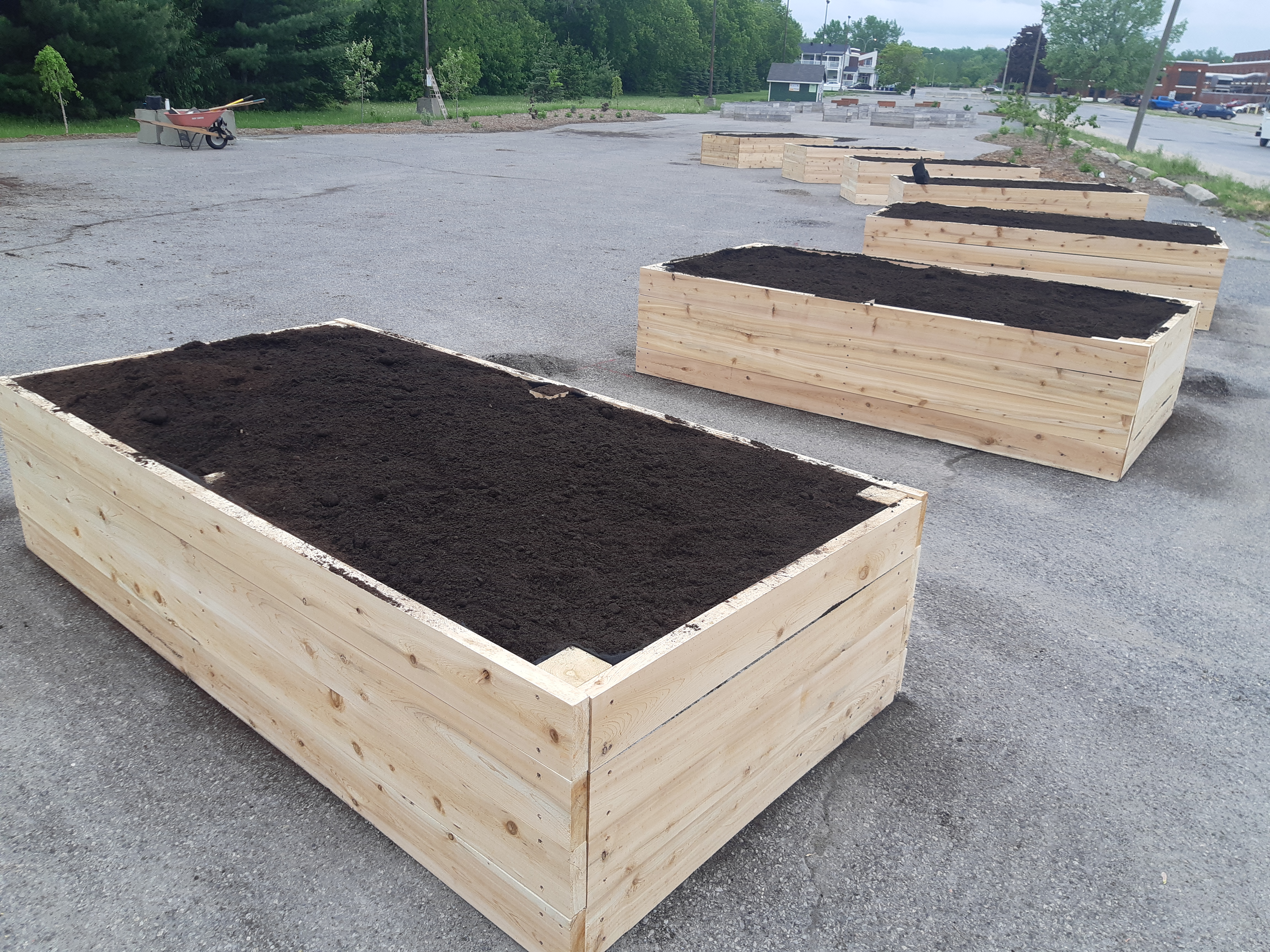 8 pieds - Bac en bois pour culture au sol