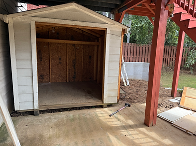 Agent876 shed removal