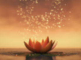Lotus 2.jpeg
