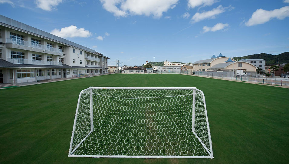 湯浅小学校屋外運動場天然芝生化工事