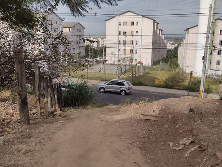 KIFÚ SUGERE MELHORIAS DE ACESSIBILIDADE NO BOSQUE DAS ÁRVORES
