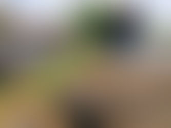 EM VISITA A BAIRROS, KIFÚ OUVE REIVINDICAÇÕES POPULARES E REITERA PEDIDOS POR REPAROS E MELHORIAS.