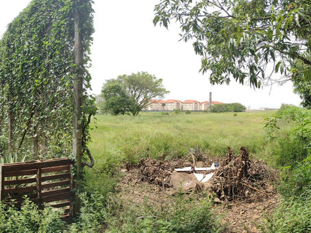 KIFÚ APELA POR MANUTENÇÃO DE ÁREA PÚBLICA NO JARDIM PARAÍSO.