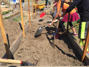 Ortega Garden Work Day - Sat. 11/13 10 a.m - noon