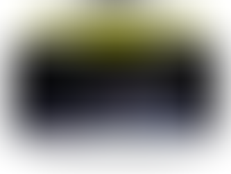 SABATO 9 MARZO TEATRO DONIZETTI CON NERI MARCORE'