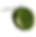 coconutpng.png