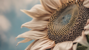 Supportive Cancer Community in Bridgnorth: Find Hope Here