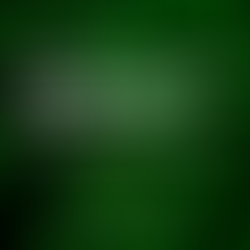 Why Do I Feel Fine But Not Okay? Understanding High-Functioning Anxiety and Emotional Numbness