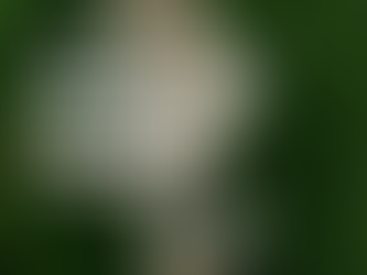 What Actually Happens in the Brain During Trauma?