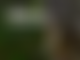 Anxiety as Information: What Our Worry Is Trying to Tell Us