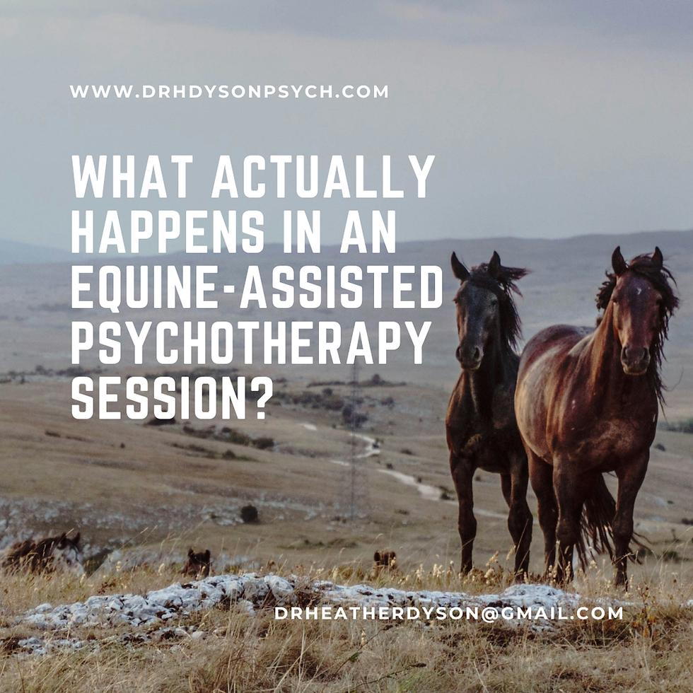 What Actually Happens in an Equine-Assisted Psychotherapy Session?