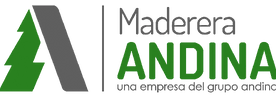 logo-web.png