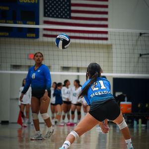 Volleyball Action