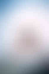 Decathlon x Ka Fung Wong (KD900.2)