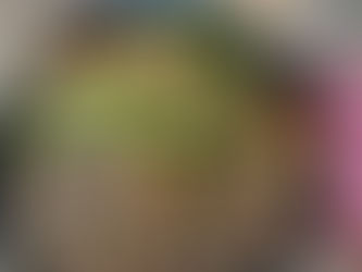 Quick Hibachi Skillet