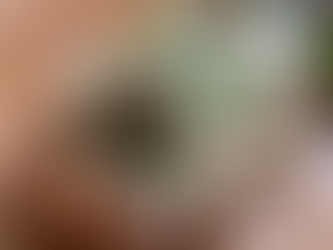 Crispy Baked Chicken w/ Spinach and Cheese