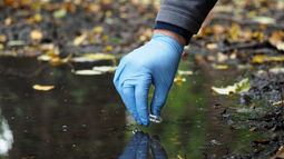 Especialista de CINDESUS realizando muestreo de campo para obtener datos ambientales en una evaluación de impacto