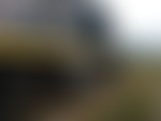¿Puede un tren de vapor ayudar a la sostenibilidad? El caso del Tren de la Sabana