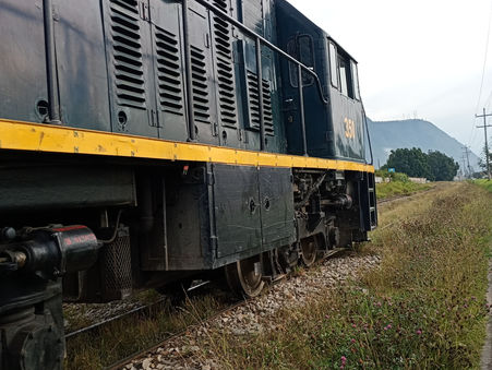 ¿Puede un tren de vapor ayudar a la sostenibilidad? El caso del Tren de la Sabana