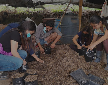 Programa de recuperación ecológica en Arbeláez, Cundinamarca.
