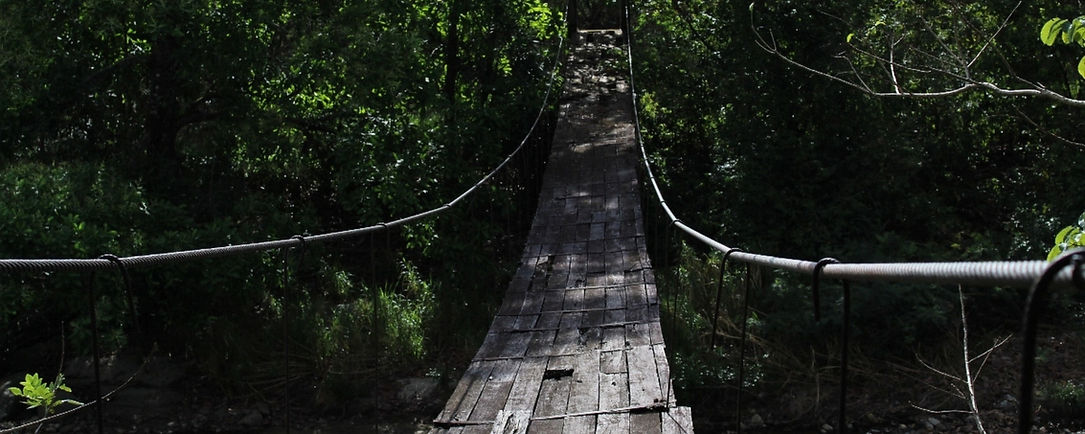 Puente en madera salida de campo CINDESUS monitoreo de Flora y Fauna