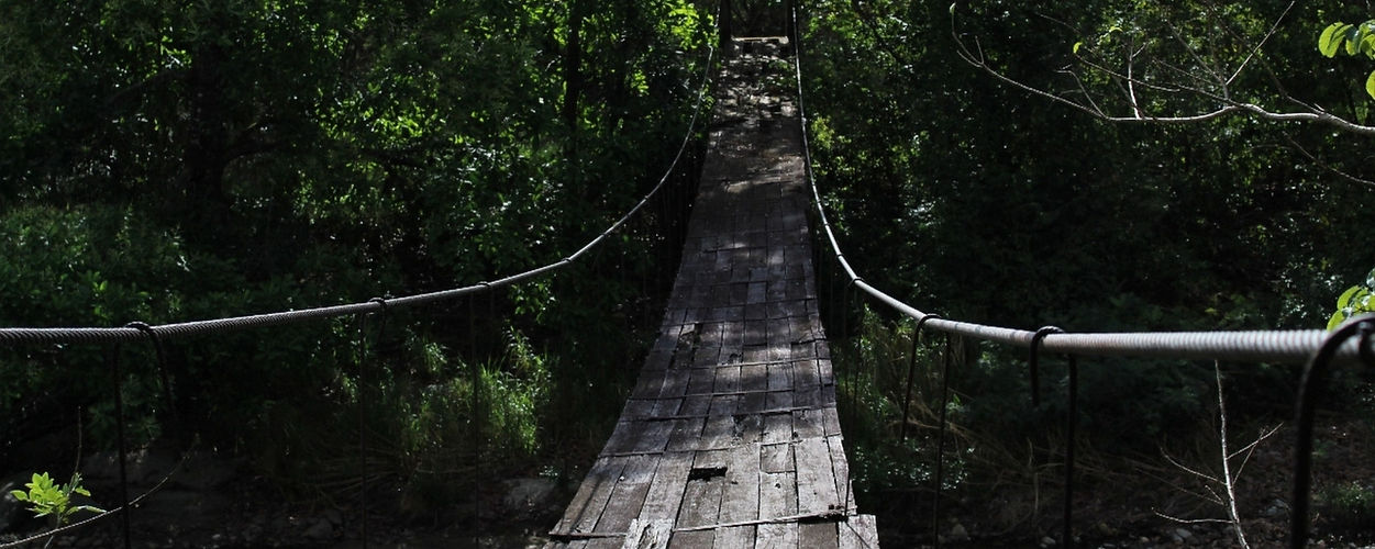 Puente en madera salida de campo CINDESUS monitoreo de Flora y Fauna