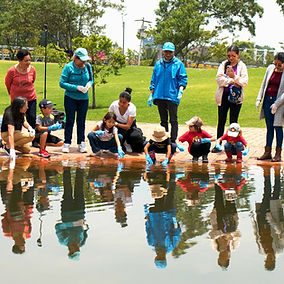 ¿Por qué elegir nuestros servicios de educación ambiental?

En un mundo donde la conciencia ecológica es cada vez más relevante, invertir en la formación y sensibilización sobre temas ambientales es esencial. Nuestros programas ofrecen:

Conocimiento Especializado: Aprende de expertos en sostenibilidad y medio ambiente.

Acciones Prácticas: Desarrolla habilidades con talleres y cursos aplicables en la vida real.

Red de Contactos: Conéctate con otros apasionados por la protección del planeta.

Impacto Positivo: Contribuye al desarrollo sostenible y la preservación de nuestros recursos naturales.
