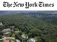 NY-times-copy-1024x800.webp