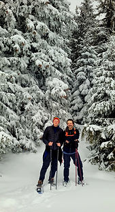 Snow at Vladeasa Mountains