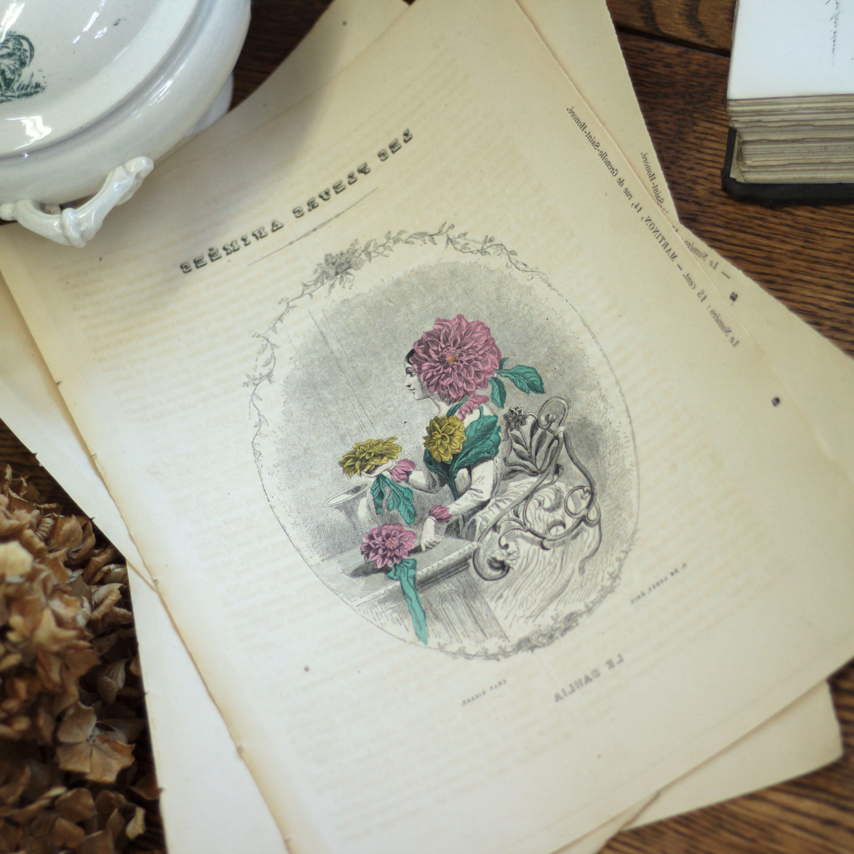 J.J.グランヴィル「花の幻想」ダリア