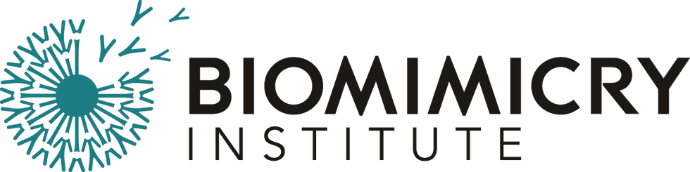 TBI Logo_Dark TealAndBlack.png