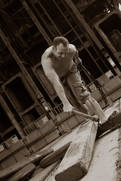 A field mouse or an osprey