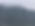 Trees and fog.jpeg