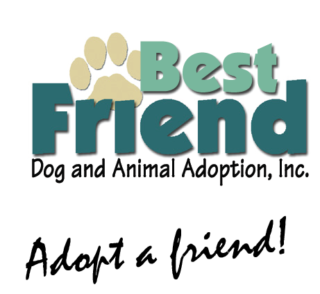 BF Logo - Tag Line.png