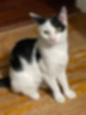 IMG_9087.jpeg