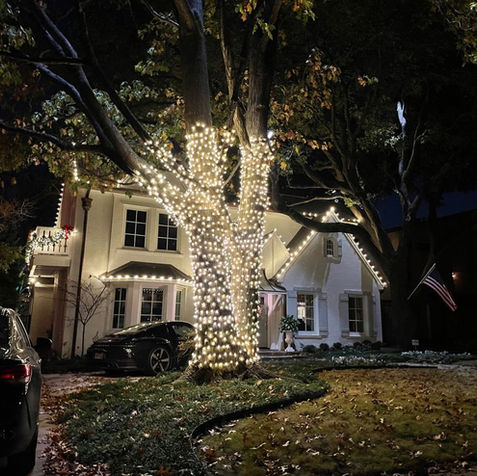 Christmas lights installed by professionals