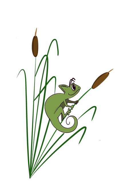 Illustration_sans_titre (36).png