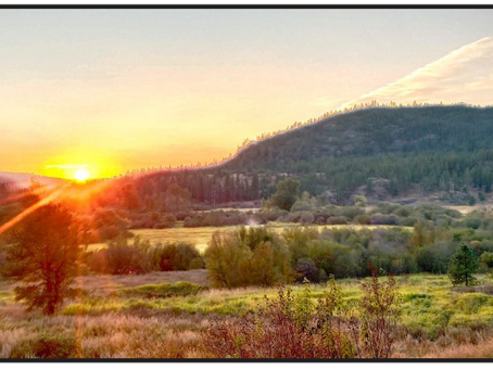 Inland Northwest Land Conservancy Announces Purchase of 95-Acre Parcel of Land