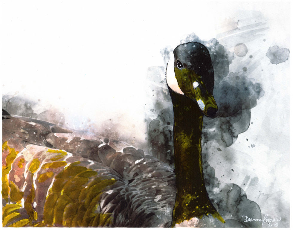 Take Flight Prints051 LR